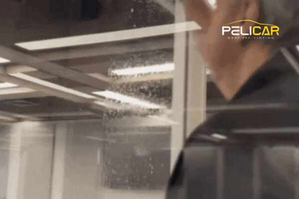 Animated GIF showing a professional applying a clear window film to an office glass pane with water spray and a squeegee, featuring the Pelicar logo in the upper-right corner. The installer moves with precision, demonstrating expert technique in a modern, well-lit interior.
